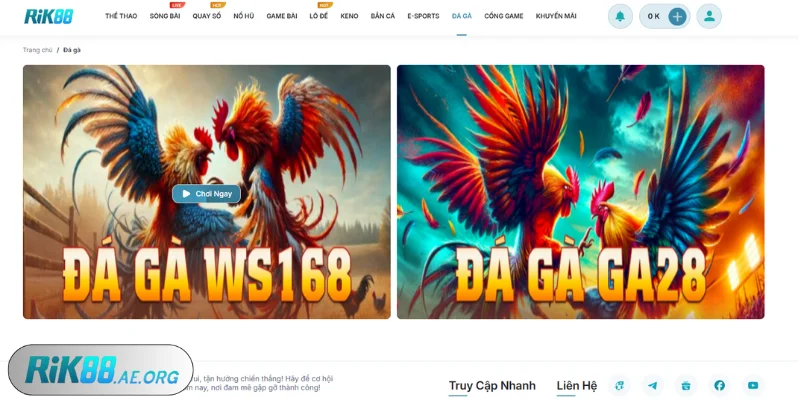 Đá gà Rik88 - Trải nghiệm cá cược kịch tính và hấp dẫn