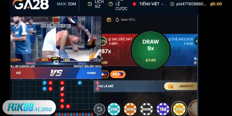 Rik88 gợi ý các mẹo cá cược đá gà online hiệu quả