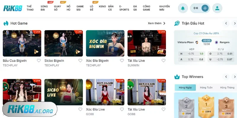 Rik88 - Các điều khoản điều kiện người chơi cần biết